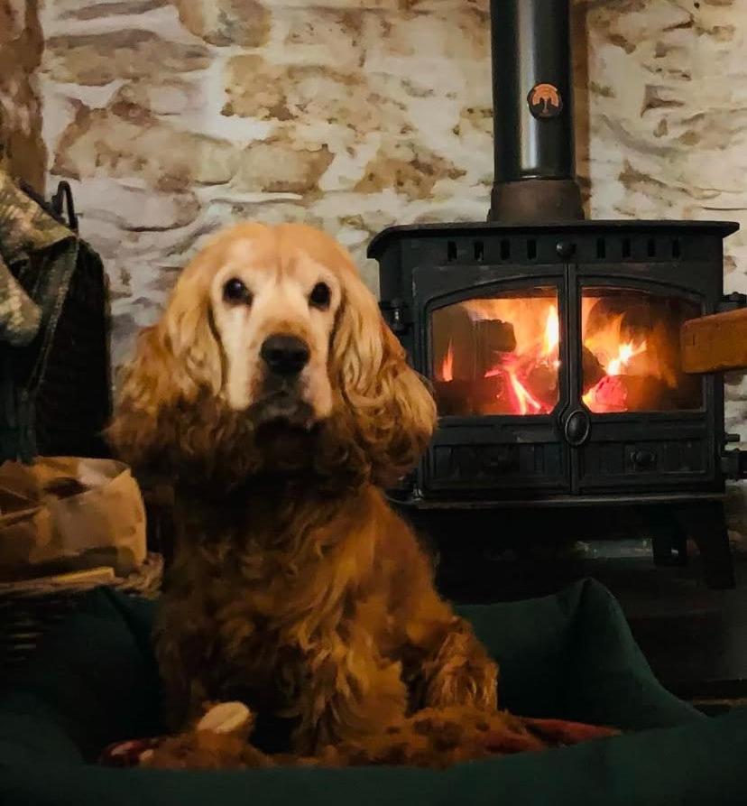 Tyn Y Simdde - Secluded Mountain Stay - Stunning Views Of Eryri Dolgellau Eksteriør billede