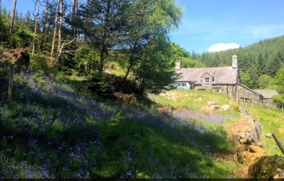 Tyn Y Simdde - Secluded Mountain Stay - Stunning Views Of Eryri Dolgellau Eksteriør billede
