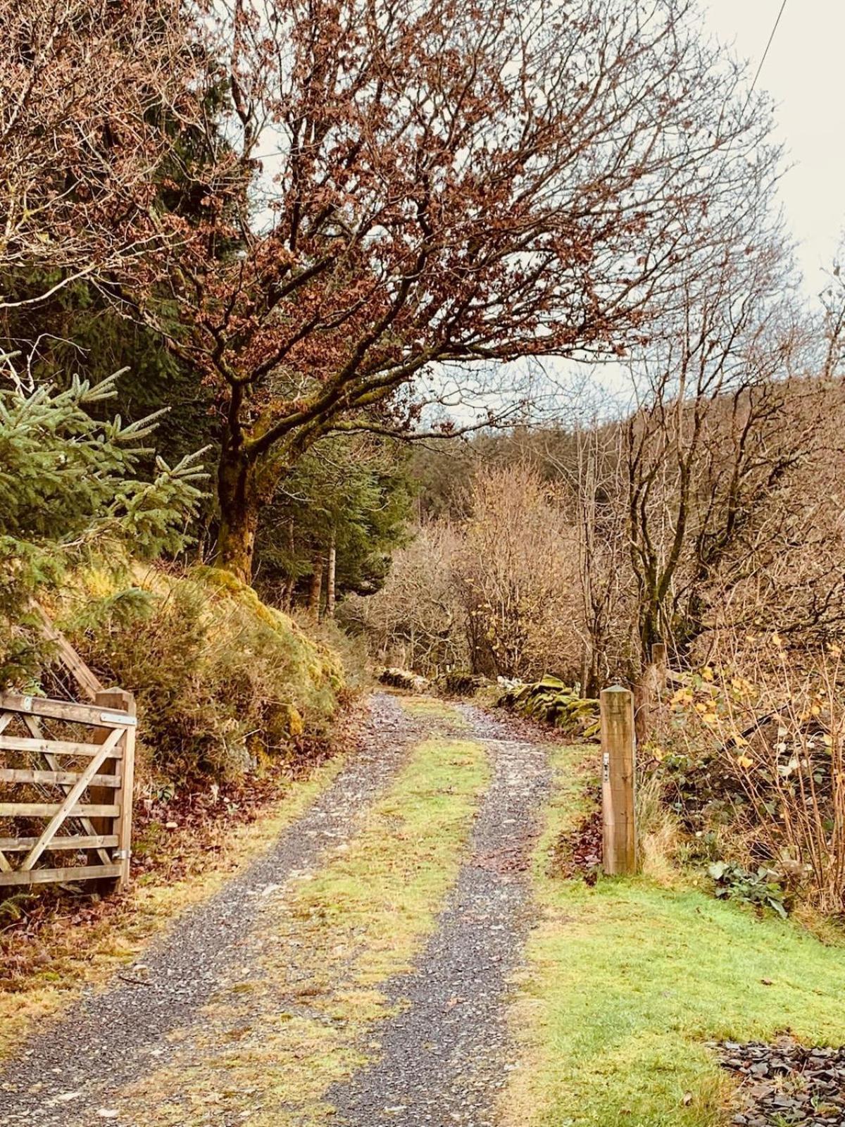 Tyn Y Simdde - Secluded Mountain Stay - Stunning Views Of Eryri Dolgellau Eksteriør billede