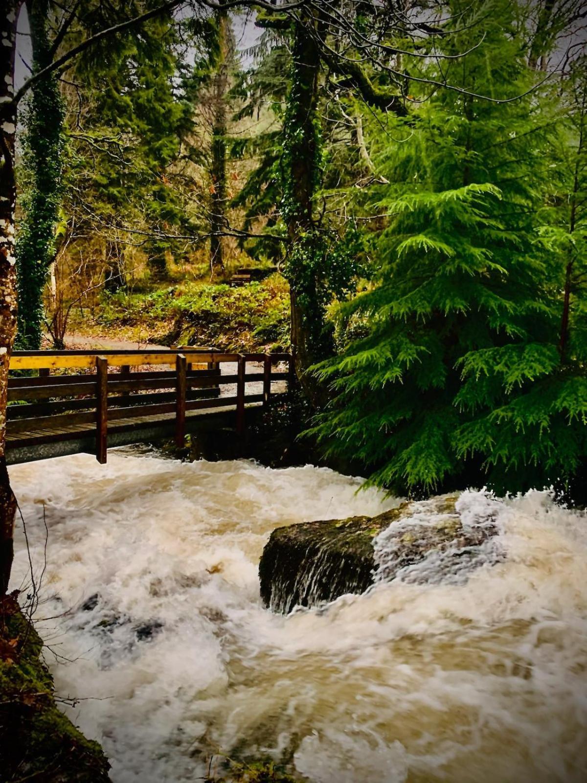 Tyn Y Simdde - Secluded Mountain Stay - Stunning Views Of Eryri Dolgellau Eksteriør billede